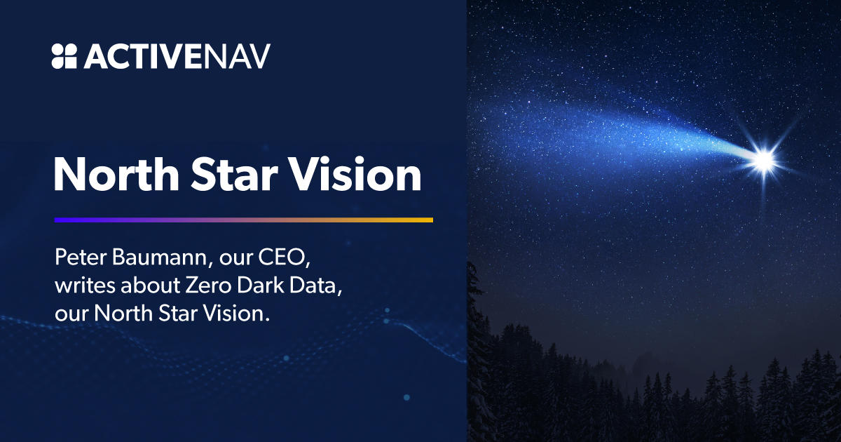 Our North Star Vision